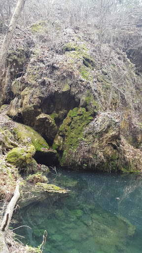 Non-Profit Organization «Westcave Outdoor Discovery Center», reviews and photos, 24814 Hamilton Pool Rd, Round Mountain, TX 78663, USA