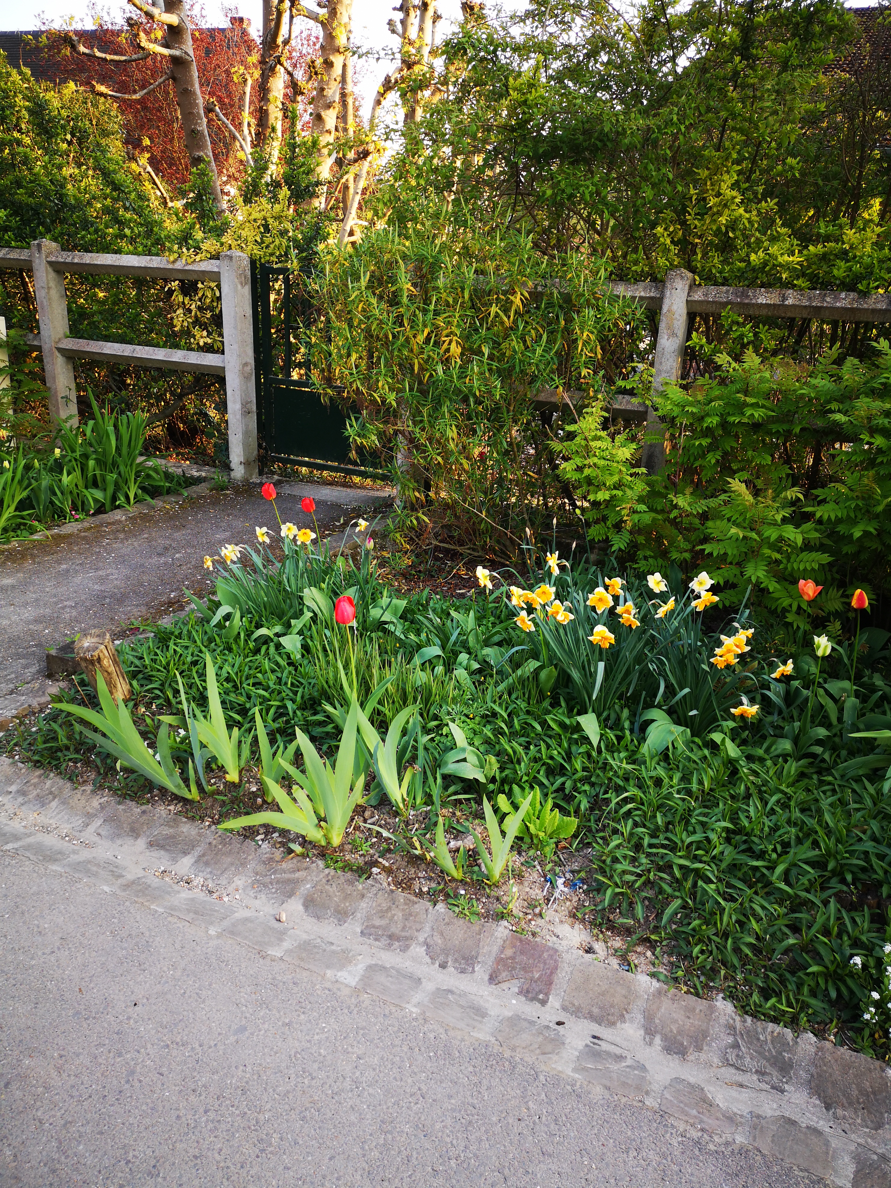 Photo n° 2 de l'avis de Romy.i fait le 13/04/2019 à 16:46