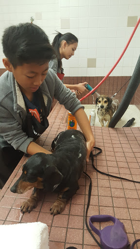 Pet Supply Store «Pet Food Express», reviews and photos, 39010 Paseo Padre Pkwy, Fremont, CA 94538, USA