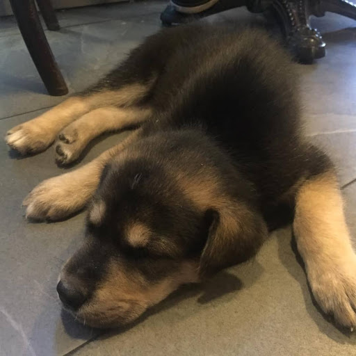 Clínica Veterinaria Almagro en Almagro