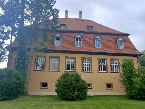 Manoir de Fleckenstein à Lembach