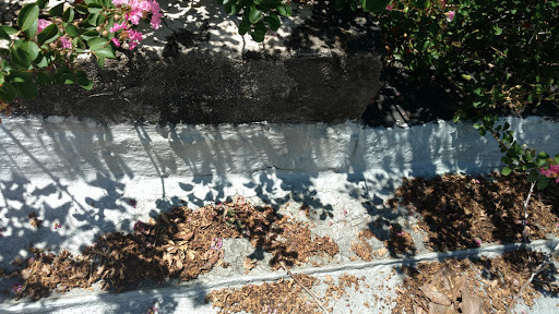 Museum «Heyward-Washington House», reviews and photos, 87 Church St, Charleston, SC 29403, USA