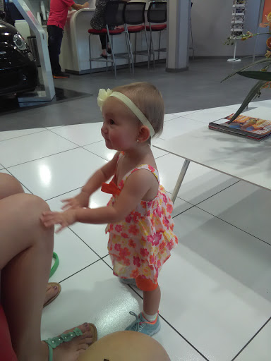 Car Dealer «Brandon Auto Mall Alfa Romeo Fiat», reviews and photos, 11024 Causeway Blvd, Brandon, FL 33511, USA