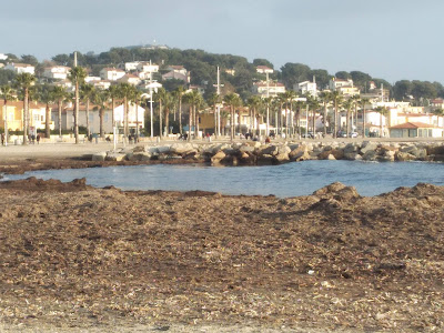 Commune De Six Fours à Sanary-sur-Mer