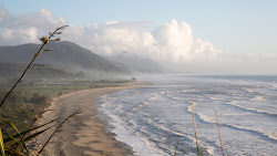 Zdjęcie Mokihinui Beach położony w naturalnym obszarze
