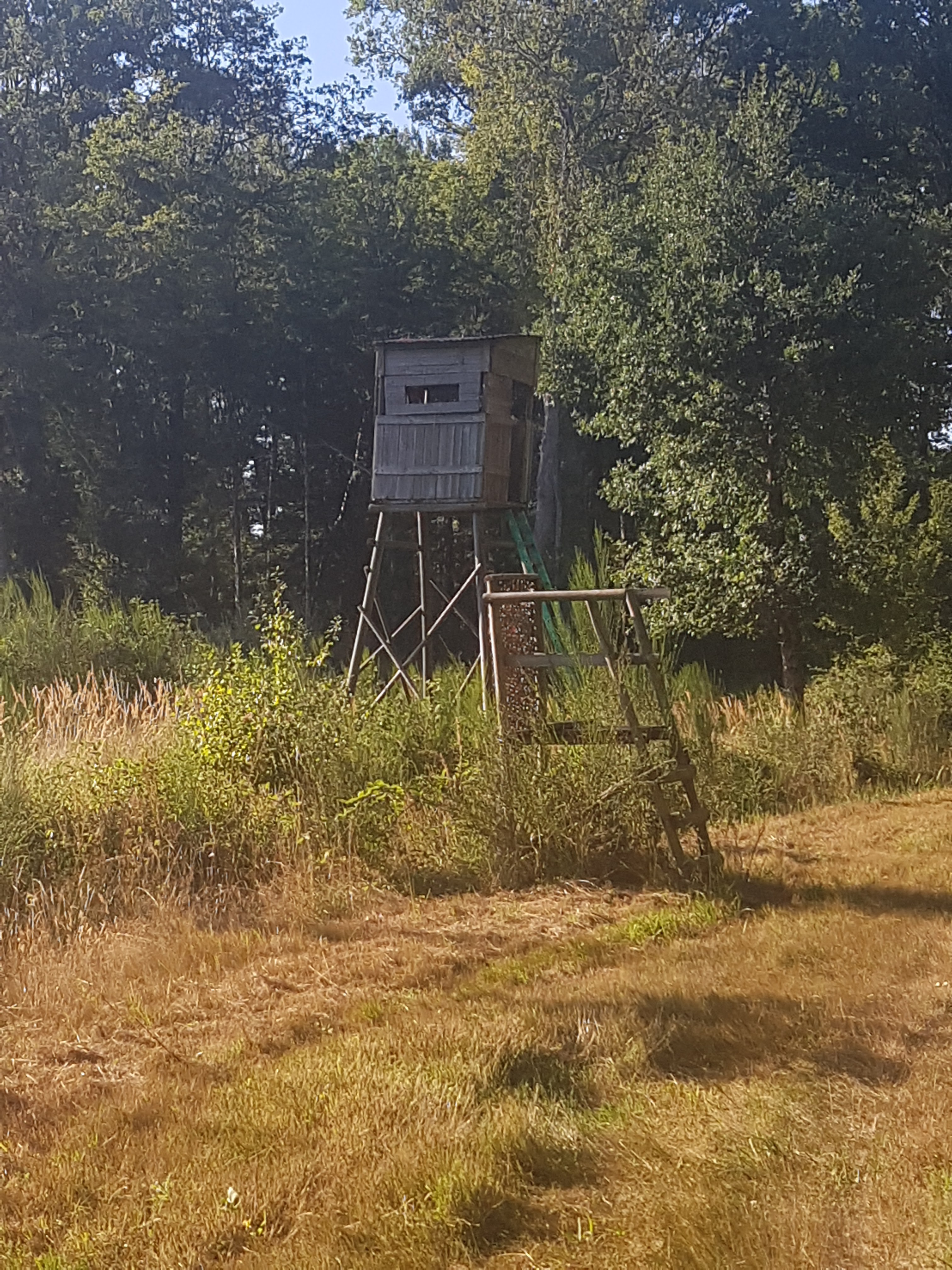 Photo n° 7 de l'avis de DELATTRE.S fait le 15/08/2022 à 17:30