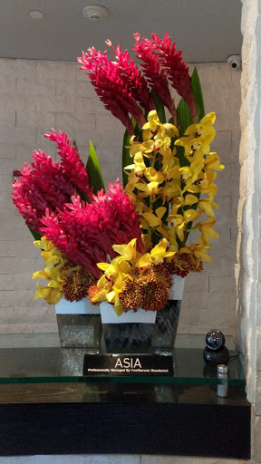 Florist «Amazing Flowers Miami», reviews and photos, 252 Sunny Isles Blvd #2b, Sunny Isles Beach, FL 33160, USA