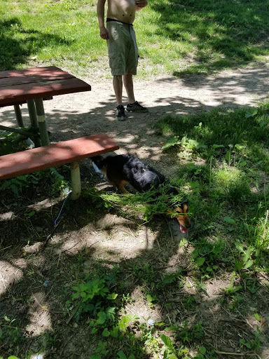 Park «Grandview Park», reviews and photos, 3230 Easton Blvd, Des Moines, IA 50317, USA