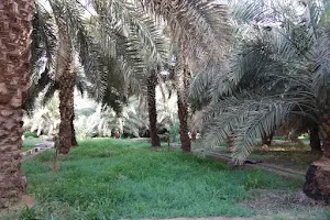 مزرعة الدريوشي image