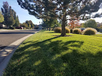 Cutting Edge Landscape