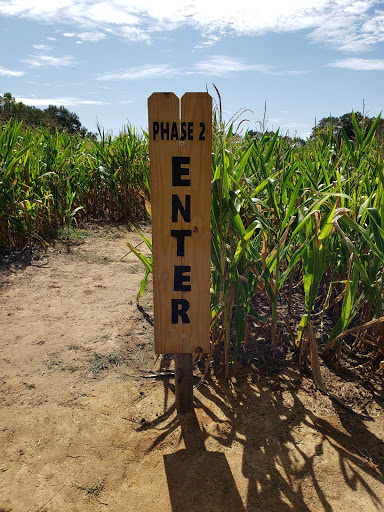 Tourist Attraction «Cajun Country Corn», reviews and photos, 40833 LA-16, Amite City, LA 70422, USA