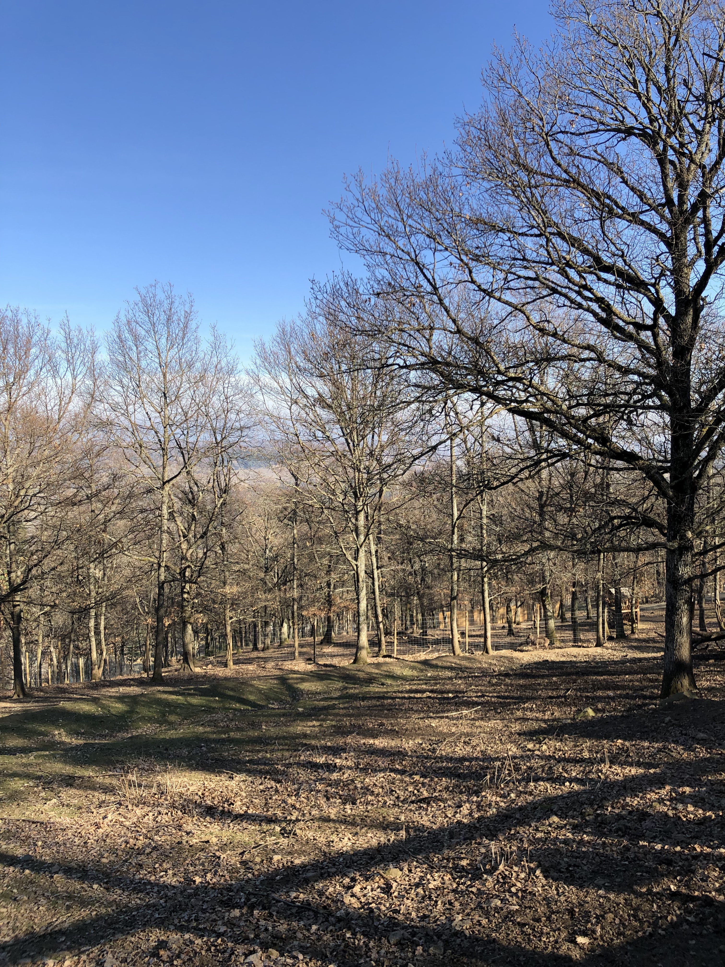 Photo n° 10 de l'avis de Romain. fait le 19/01/2020 à 12:09