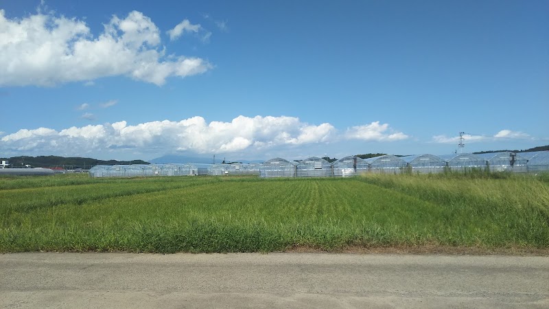 宮崎太陽農園