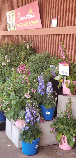 Supermarket «Price Chopper», reviews and photos, 410 Queen St, Southington, CT 06489, USA