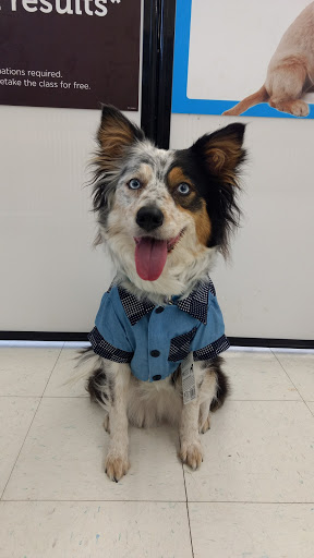 Pet Supply Store «Petco Animal Supplies», reviews and photos, 710 W 66th St, Richfield, MN 55423, USA