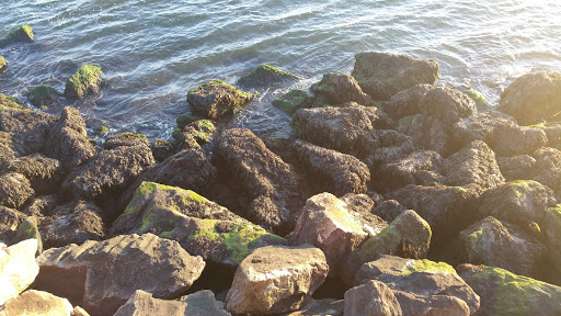 Park «Bensonhurst Park», reviews and photos, Cropsey Ave, Brooklyn, NY 11214, USA