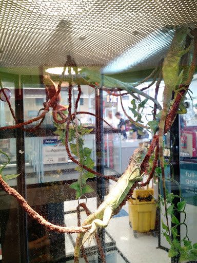 Pet Supply Store «Petco Animal Supplies», reviews and photos, 85 State St, Orem, UT 84058, USA