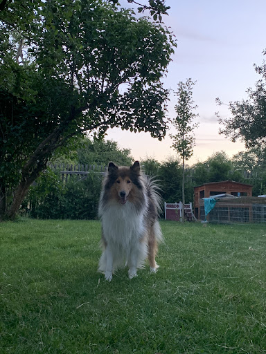 Kai-Uwe Güntner unter Neuenbürg, 