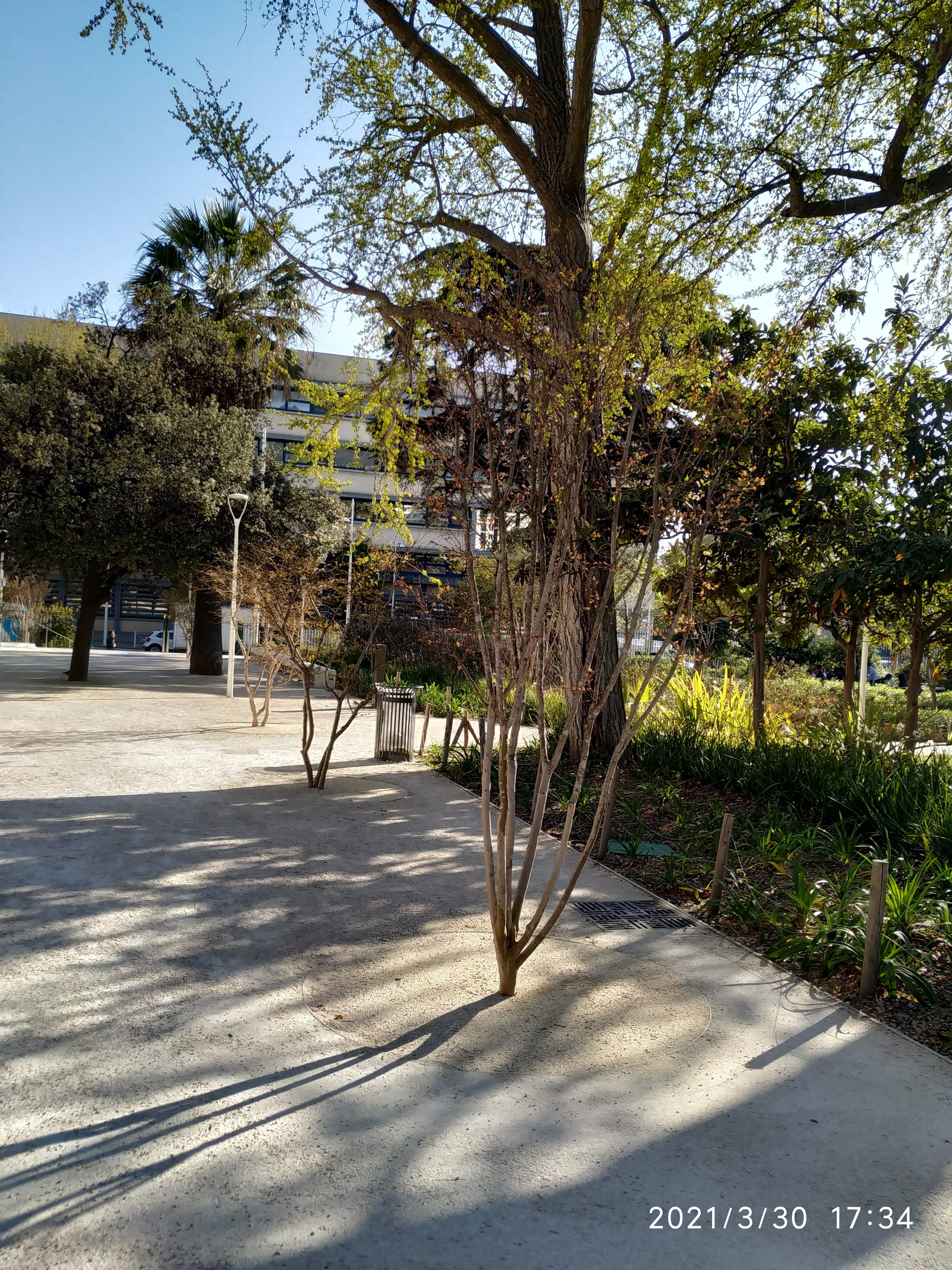 Photo n° 9 de l'avis de Nadine.o fait le 30/03/2021 à 18:46
