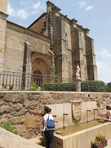 Torre de Don Miguel 10864, Cáceres, España