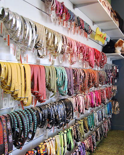 Pet Store «Muttropolis La Jolla», reviews and photos, 7755 Girard Ave, La Jolla, CA 92037, USA