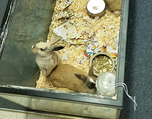 Tropical Fish Store «Midway Tropical Fish & Pets», reviews and photos, 24101 Pacific Hwy S, Kent, WA 98032, USA