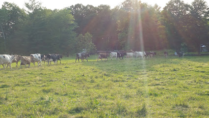 Krebs Organic Dairy Farm