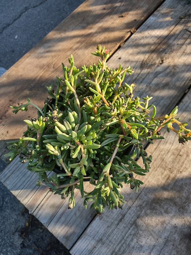 Home Improvement Store «The Home Depot», reviews and photos, 50 Traders Way, Salem, MA 01970, USA