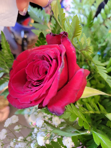 Florist «A-Apple Blossom Florist», reviews and photos, 566 S Decatur Blvd, Las Vegas, NV 89107, USA