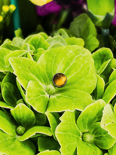 Explore thigh flower tattoo ideas, creative tattoo ideas in San Antonio, available at Platinum Body Piercings