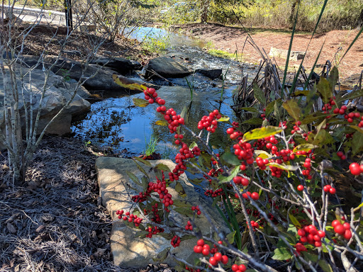 Park «Garrard Landing Park», reviews and photos, 8000 Holcomb Bridge Rd, Alpharetta, GA 30022, USA