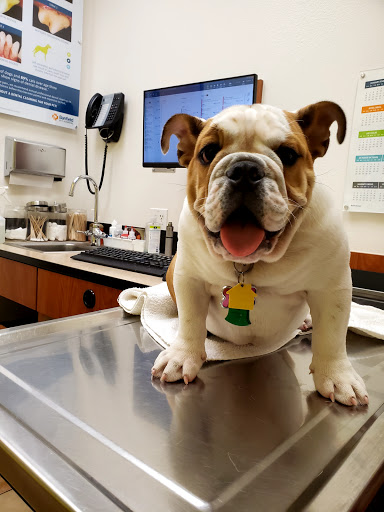 Pet Supply Store «PetSmart», reviews and photos, 8660 Airline Hwy, Baton Rouge, LA 70815, USA