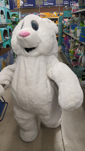 Department Store «Walmart Supercenter», reviews and photos, 5315 Cortez Rd W, Bradenton, FL 34210, USA