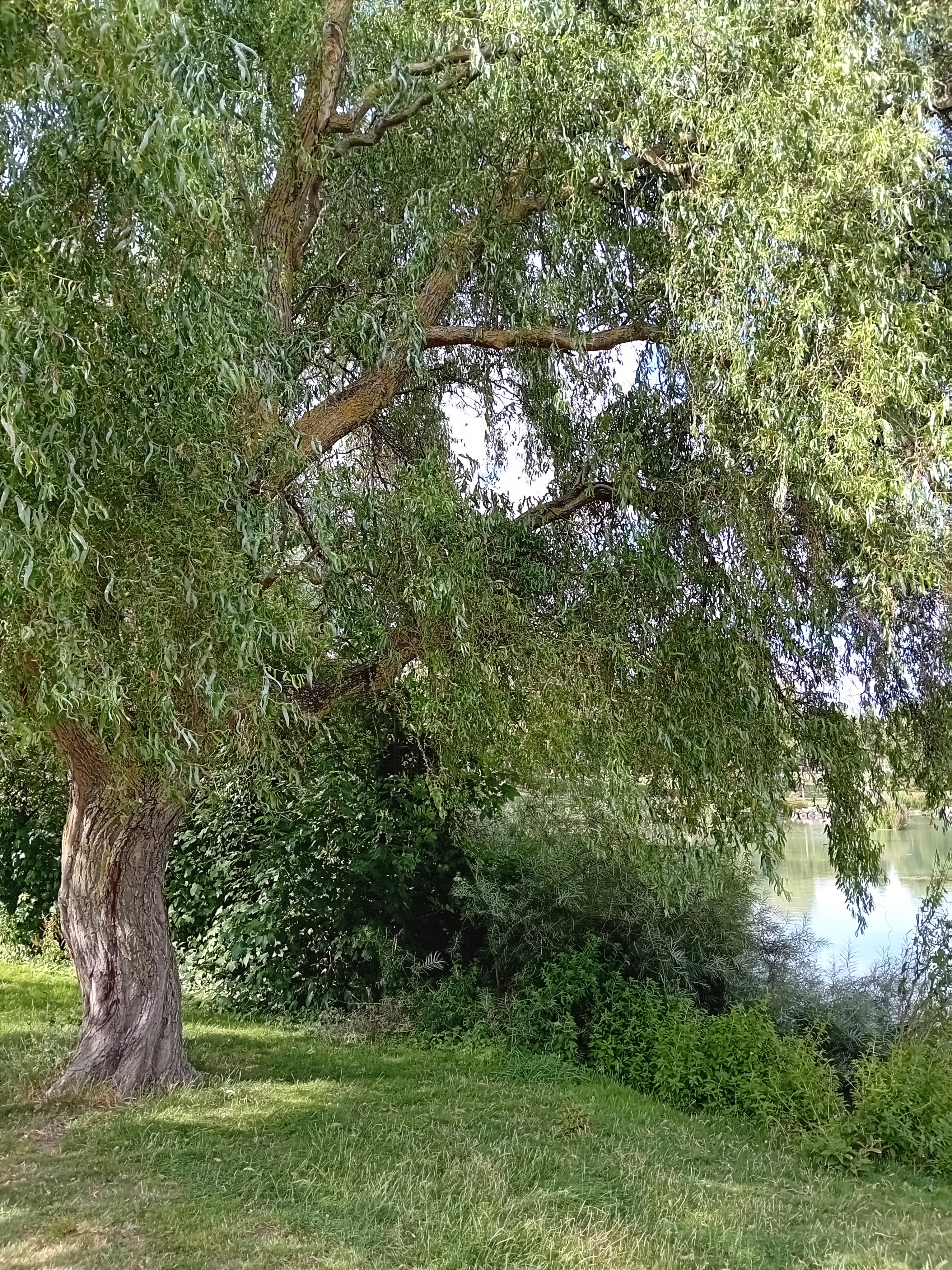 Photo n° 6 de l'avis de Stéphanie.c fait le 16/07/2023 à 18:42