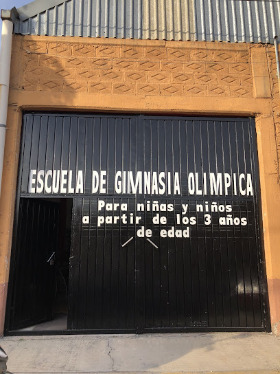 RODAS Gimnasia Olímpica - 2 de Marzo 13, San Miguel Jacalones, 56604 Chalco de Díaz Covarrubias, Méx., Mexico