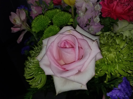 Florist «A Special Touch», reviews and photos, 45841 Van Dyke, Utica, MI 48317, USA