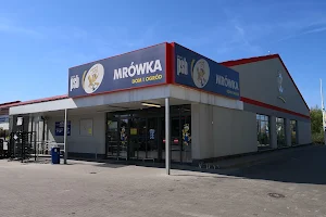 PSB Mrówka image