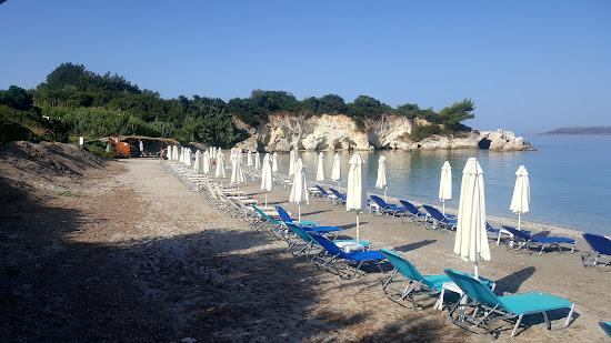 Crocodile beach II