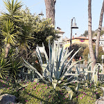 Photo n°1 de l'avis de Julia.e fait le 21/06/2022 à 08:53 sur le  La Vela Caffè à Trevignano Romano