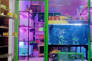 Jo pets and aquarium image