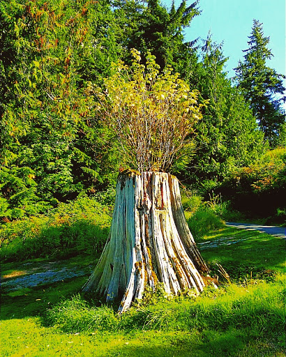 Golf Course «Kayak Point Golf Course», reviews and photos, 15711 Marine Drive NE, Stanwood, WA 98292, USA