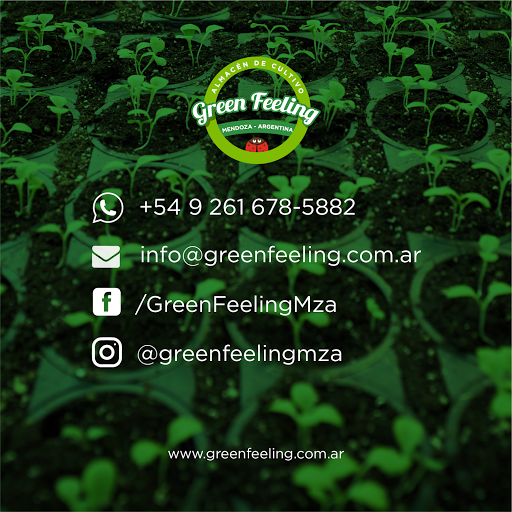 Green Feeling