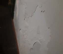 Hotel Rincon Real Suites photo