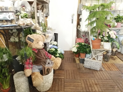 NATURE EST PLAISIR à Saint-Pierre-en-Auge