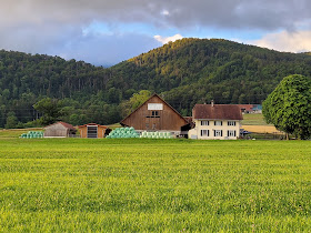 Restaurant le Violat