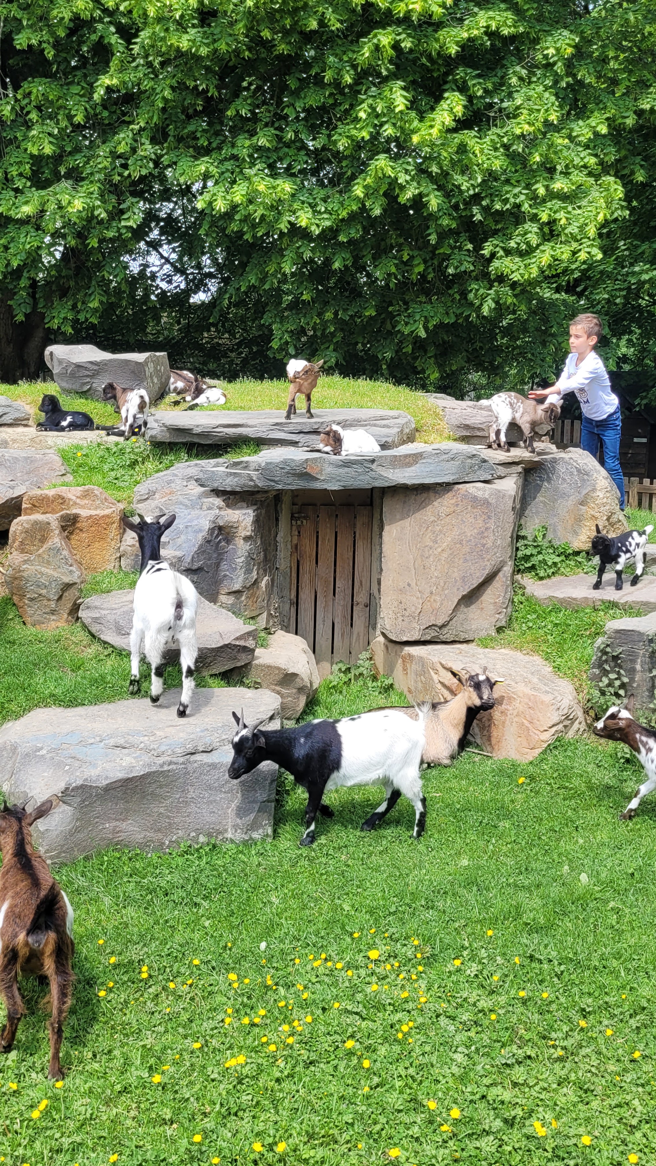 Photo n° 4 de l'avis de sylvie.o fait le 02/06/2023 à 11:33