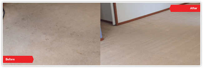 WOW Carpet Cleaning - Wellington - Upper Hutt