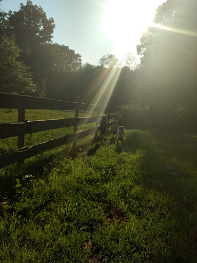 Farm «B & B Flower Farm», reviews and photos, 668 Jones Hill Rd, West Haven, CT 06516, USA