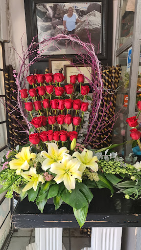 Floristas D’ Lucy – León