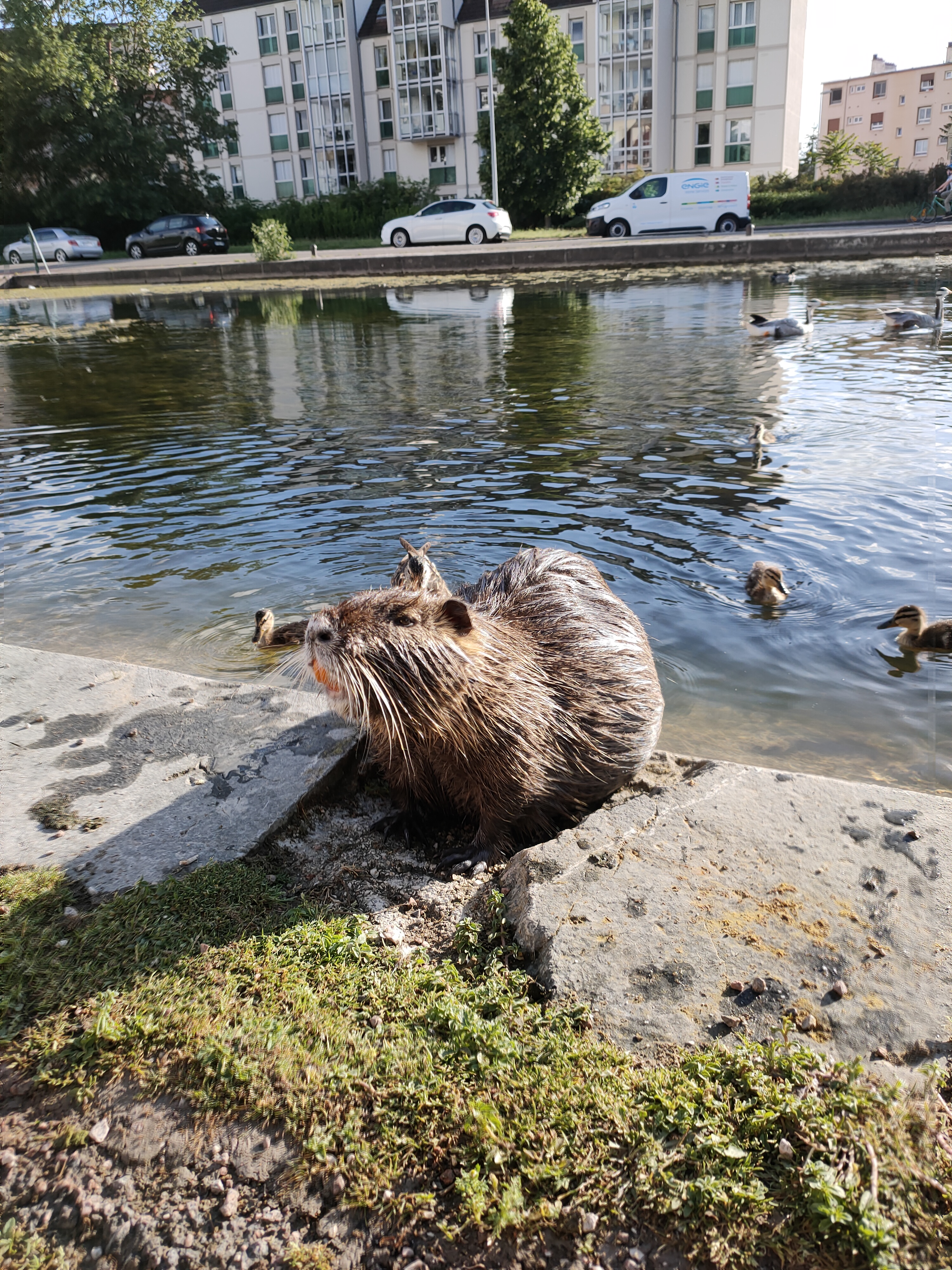 Photo n° 1 de l'avis de Justine. fait le 15/05/2021 à 20:07